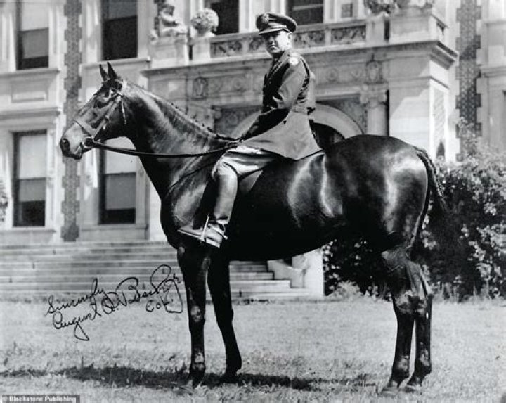 August Busch IV Biography, Age, Height, Wife, Net Worth, Family