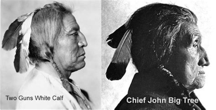 Chief John Big Tree Biography, Age, Height, Wife, Net Worth, Family