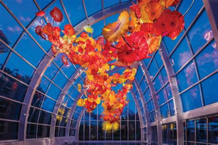 Dale Chihuly Biography, Age, Height, Wife, Net Worth, Family