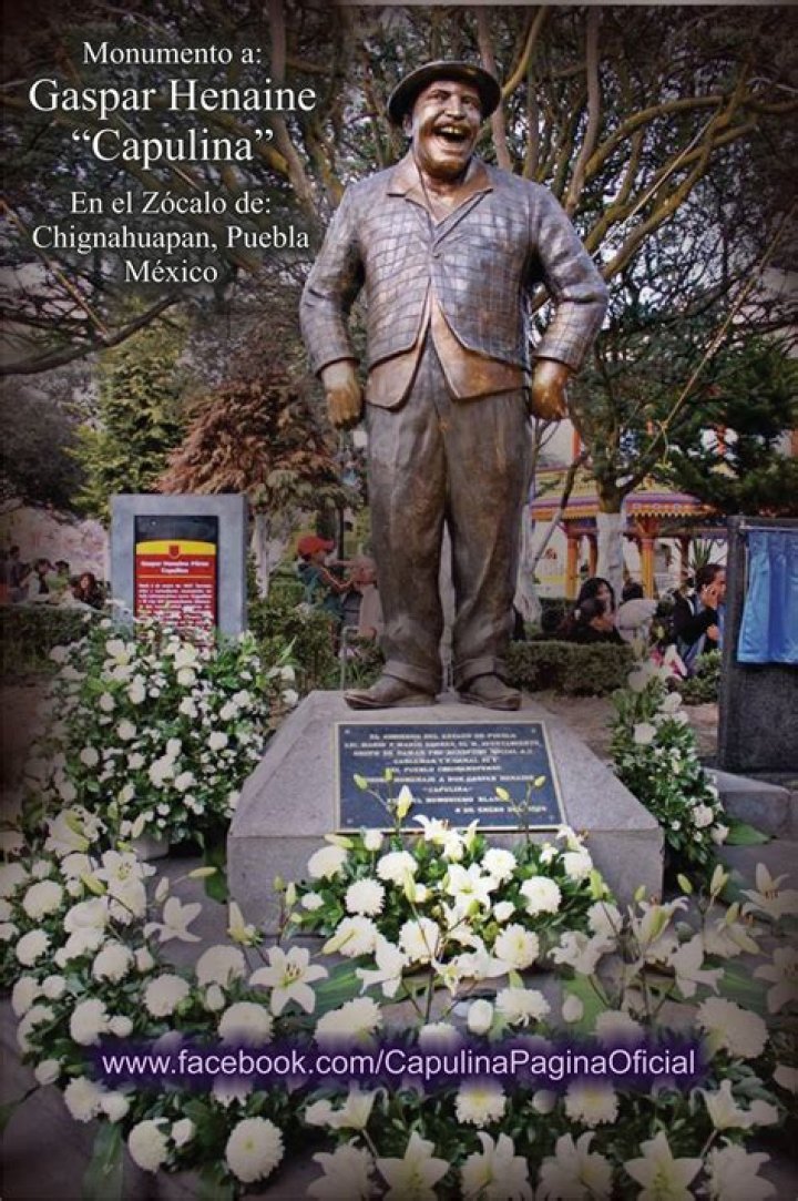 Gaspar Henaine biografía, edad, altura, esposo, net worth, familia