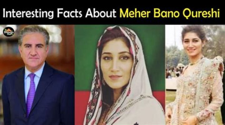 Haider Qureshi Biography, Age, Height, Wife, Net Worth, Family