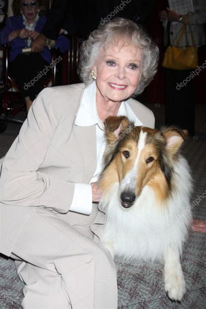 June Lockhart Biography, Age, Height, Husband, Net Worth, Family