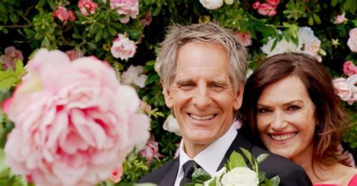 Scott Bakula Biography, Age, Height, Wife, Net Worth, Family