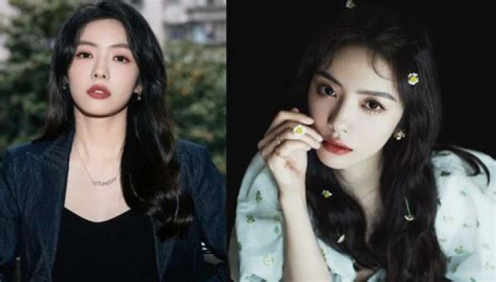 Sui Wenjing Biography, Age, Height, Husband, Net Worth, Family